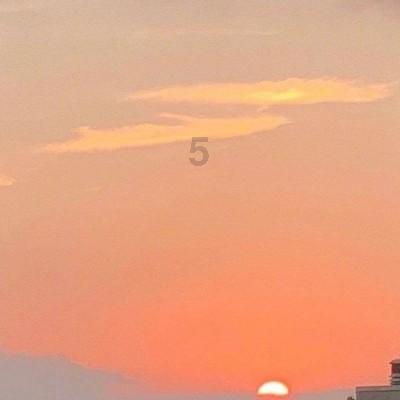 安全的港口