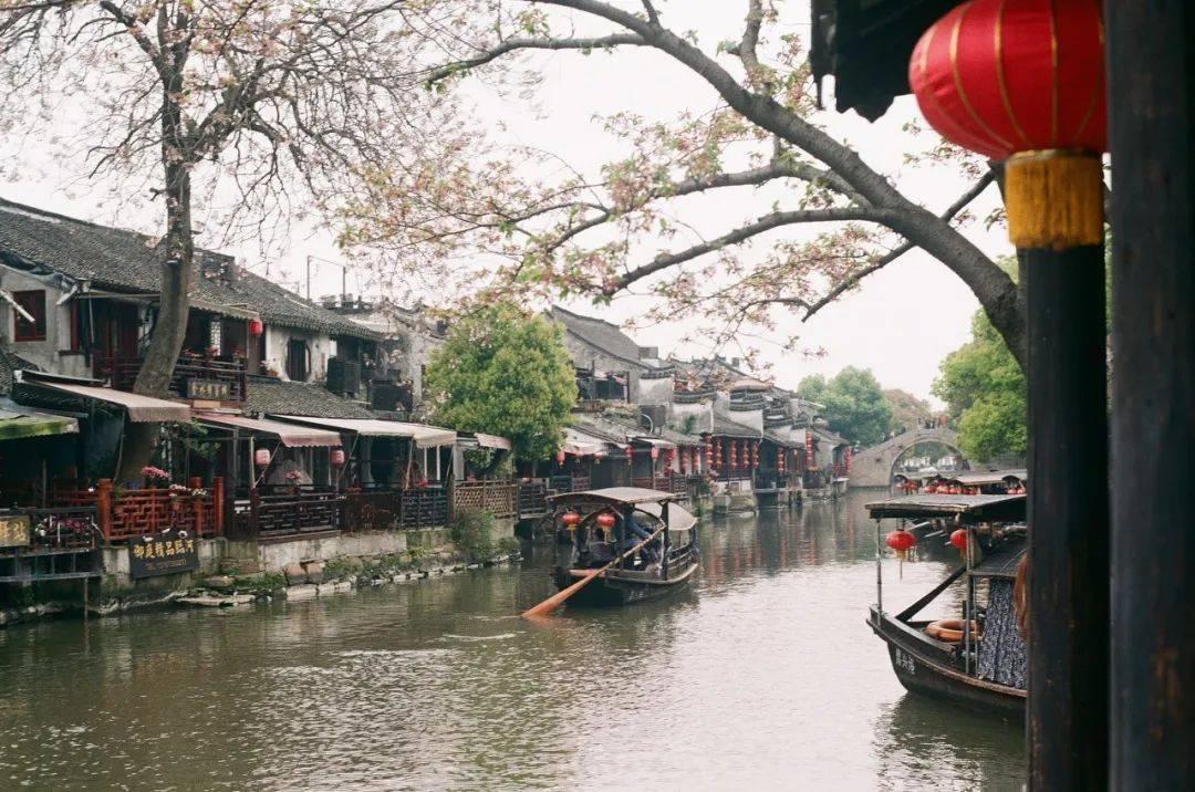 泡沫森林